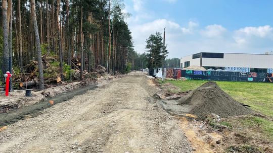 „Boiska i parkingi lepsze niż las?” Ostatnia chwila na obronę drzew przy basenie w Otwocku