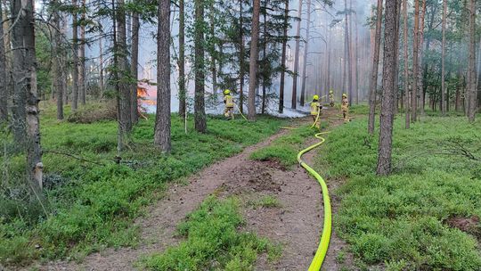Długi weekend nie dla wszystkich był spokojny