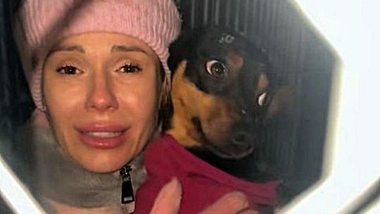 Doda w schronisku w Celestynowie. Co zrobiła dla bezdomnych zwierząt?