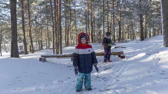 Ferie w Otwocku 2026. Jakie atrakcje przygotowało miasto dla dzieci i młodzieży?