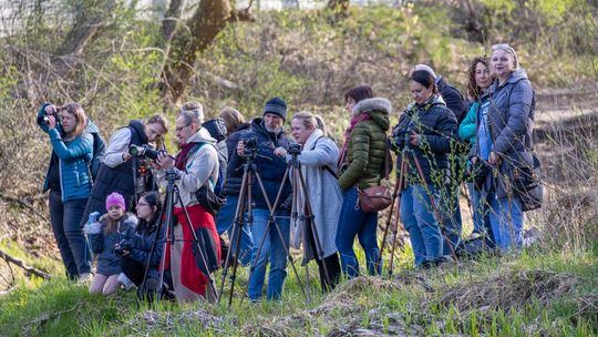 Fotograficzny spacer wśród nadświdrzańskiej przyrody [FOTO]