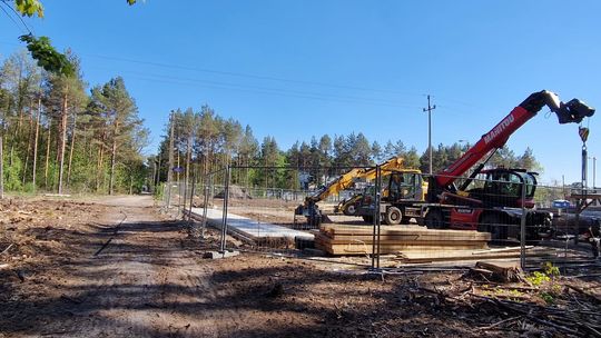 Geodeci w lesie, petycja i 4100 podpisów. Tak wybuchł wielki spór o ul. Brücknera