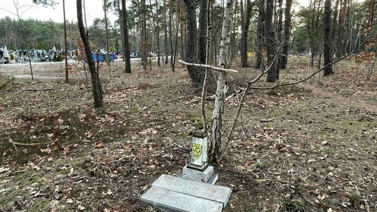 Masowe groby w Otwocku? Rozpoczęto pierwsze badania na cmentarzu