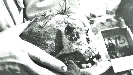 Masowy grób, złote zęby i archiwa CIA. Czy w Otwocku spoczywa niemal 600 ofiar komunistycznego terroru?