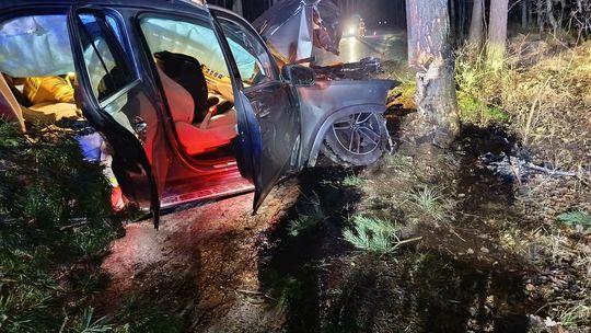 Mercedes uderzył w drzewo