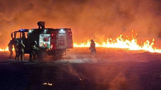 Seria pożarów traw w powiecie otwockim. Gdzie pali się najczęściej?