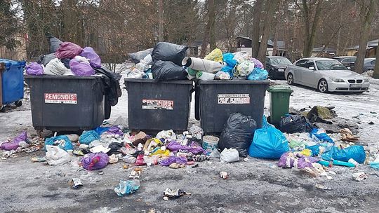 Śmieci zalegają od tygodnia. Dziki roznoszą odpady po okolicy