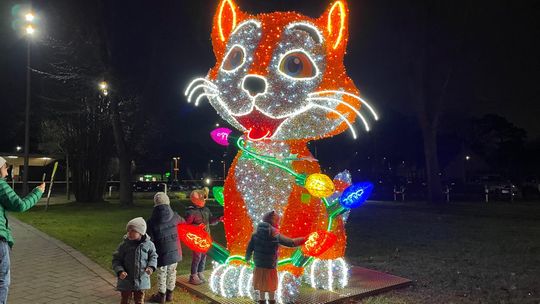 Świecący kot i pies w centrum Józefowa