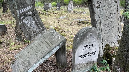 Tak wygląda zapomniany kirkut w Anielinie. Macewy kryją poruszające historie [FOTO]