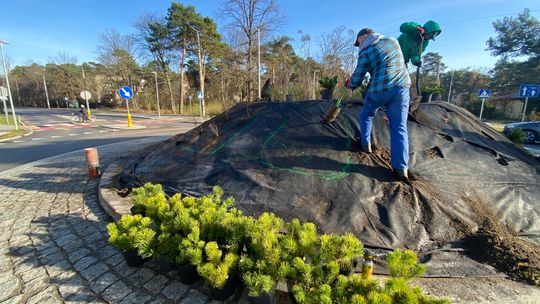 Kolejne rondo w Otwocku zamieni się w zieloną wyspę. Gdzie będą następne?