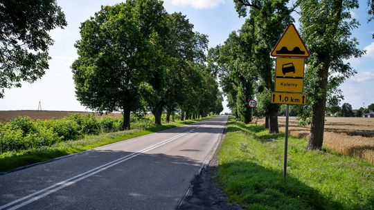 Utrudnienia na trasie Warszawa-Puławy. Drogowcy zaczynają kolejny remont na 801. Kiedy?