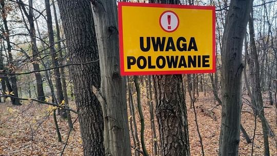 Uwaga polowanie! Na celowniku nie tylko dziki. W tych dniach lepiej nie wybierać się do lasu