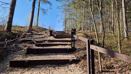 Wielkanoc na świeżym powietrzu. Gdzie wybrać się na spacer w Otwocku i okolicach [FOTO]