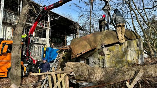 Zaskakujące znalezisko w powiecie otwockim [FOTO]