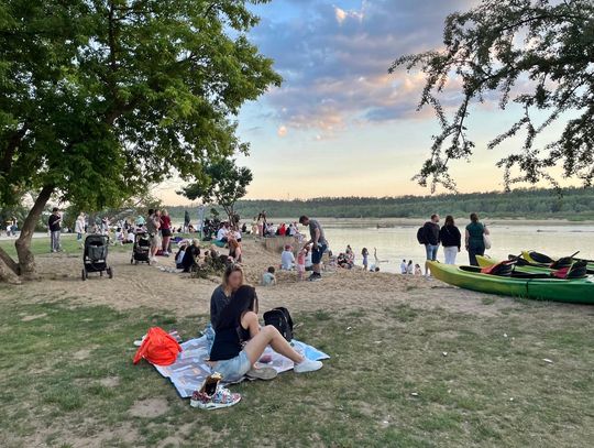 Atak szerszeni na popularnej plaży nad Wisłą. Wezwano śmigłowiec LPR