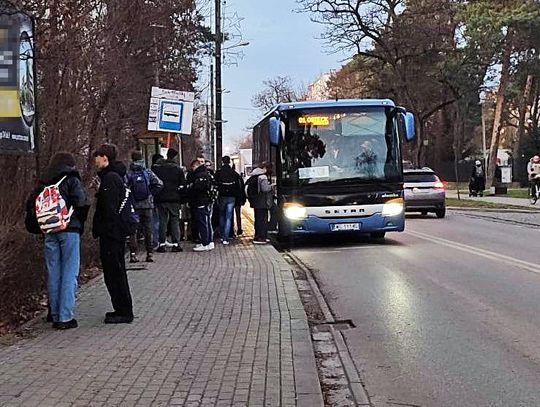 Autobus (nie) dojedzie do Falenicy? Publikujemy rozkłady nowych linii autobusowych