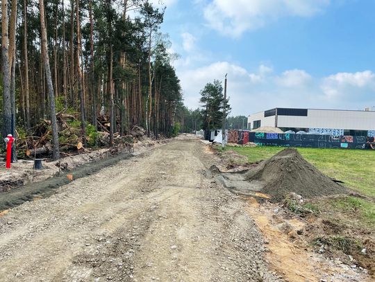„Boiska i parkingi lepsze niż las?” Ostatnia chwila na obronę drzew przy basenie w Otwocku