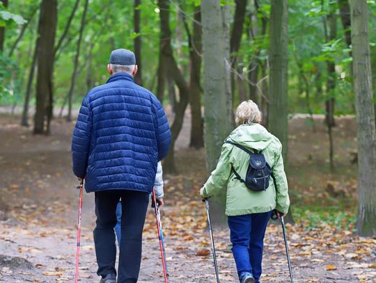 Co z Radą Seniorów w Celestynowie?