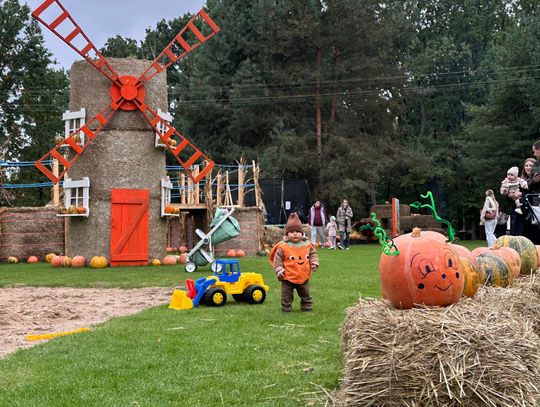 Czwarta edycja Dyniowego Pola w Mercure Wiązowna Brant! Czwarta edycja Dyniowego Pola w Mercure Wiązowna Brant!