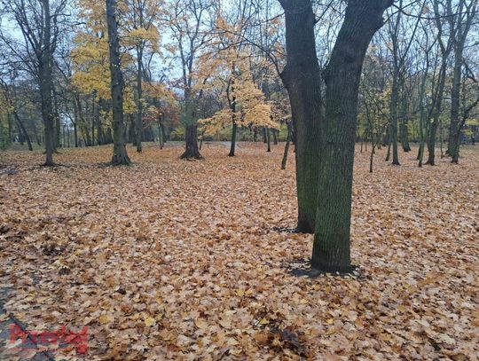 Deszczowe dni w Otwocku – prognoza na najbliższy tydzień