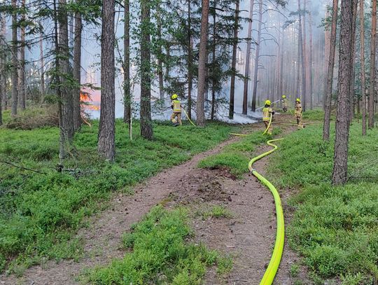 Długi weekend nie dla wszystkich był spokojny
