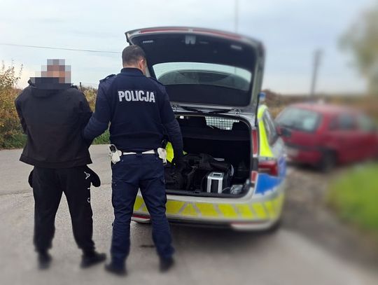 Drogówka zwiększyła liczbę kontroli. Kiedy będą kolejne?