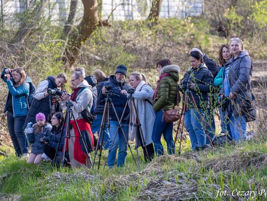 Fotograficzny spacer wśród nadświdrzańskiej przyrody [FOTO]