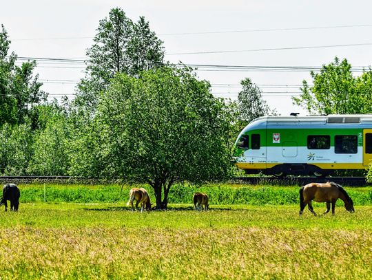 Gdzie wybrać się na ostatni długi weekend wakacji? Z tym biletem podróżujesz tanio!