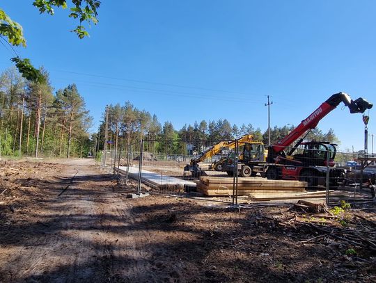Geodeci w lesie, petycja i 4100 podpisów. Tak wybuchł wielki spór o ul. Brücknera Geodeci w lesie, petycja i 4100 podpisów. Tak wybuchł wielki spór o ul. Brücknera
