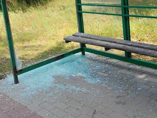 Kto niszczy naszą wspólną przestrzeń? Celestynów szuka sprawców wandalizmu