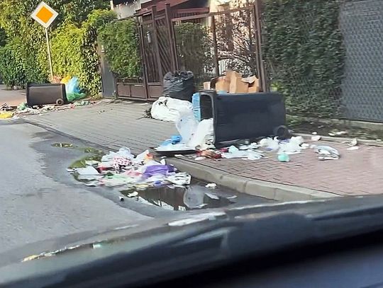 Kulinarny najazd dzikich gości