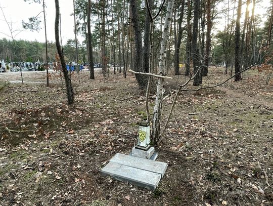 Masowe groby w Otwocku? Rozpoczęto pierwsze badania na cmentarzu
