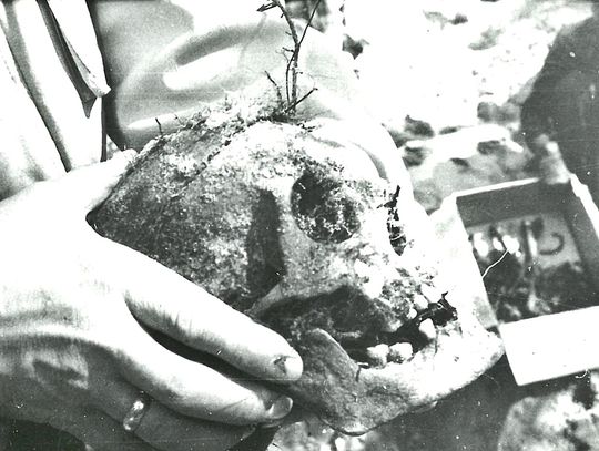 Masowy grób, złote zęby i archiwa CIA. Czy w Otwocku spoczywa niemal 600 ofiar komunistycznego terroru? Masowy grób, złote zęby i archiwa CIA. Czy w Otwocku spoczywa niemal 600 ofiar komunistycznego terroru?