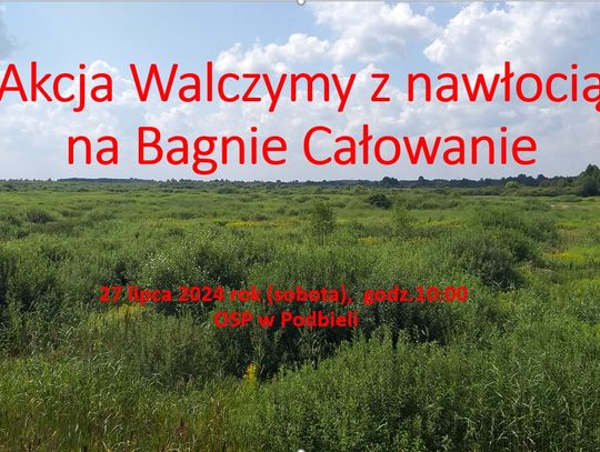 Nawłoć na Bagnie Całowanie – pomóż ją usunąć