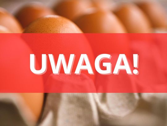 Nie jedz tych jajek! Sanepid ostrzega przed groźnymi bakteriami Nie jedz tych jajek! Sanepid ostrzega przed groźnymi bakteriami