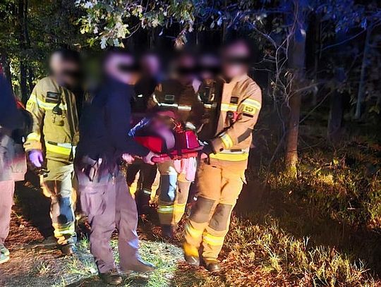 Poszukiwania zaginionego mężczyzny. Wyszedł na grzyby i przepadł bez śladu