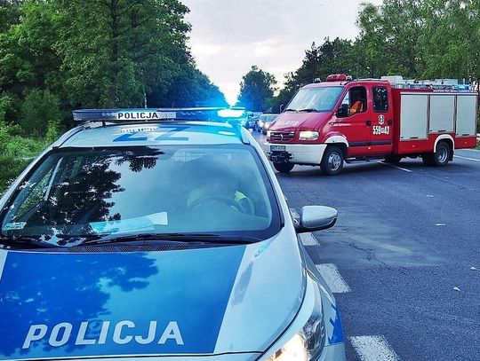 Norweski milioner zginął w wypadku w powiecie otwockim