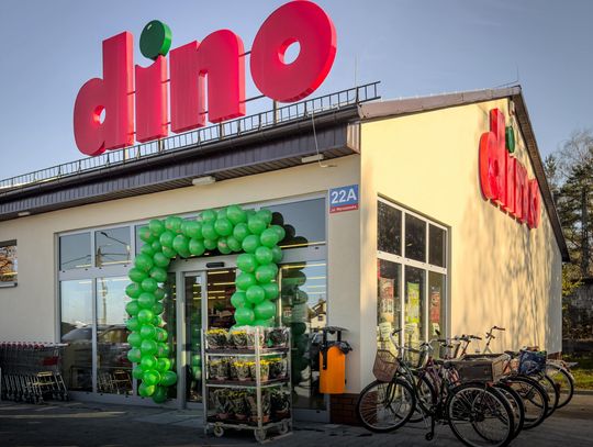 Nowy market Dino już otwarty! Mieszkańcy ruszyli na zakupy Nowy market Dino już otwarty! Mieszkańcy ruszyli na zakupy