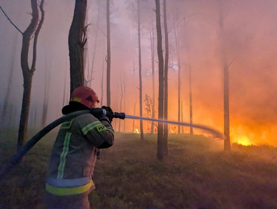 Od kilku dni płonie las na Mazowszu. Pomagają też strażacy z powiatu otwockiego
