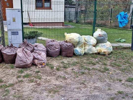 Kto będzie odbierał śmieci od mieszkańców w Wiązownie? Ankieta dla kompostujących biodpady