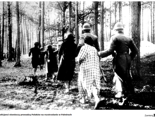 Palmiry 1940. Pamiętamy!