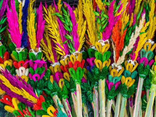 Powiatowy Konkurs Palm Wielkanocnych w Kołbieli Powiatowy Konkurs Palm Wielkanocnych w Kołbieli