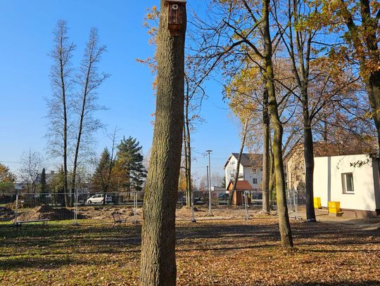 Prezent dla osieckich ptaków