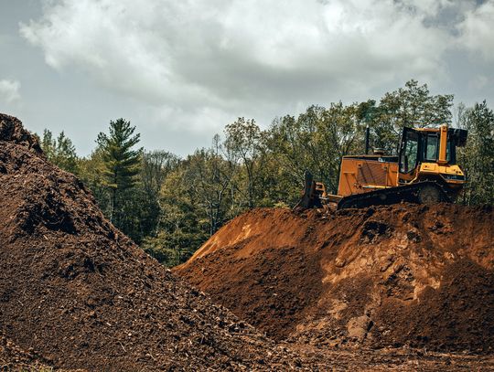 Proces sądowy o wycinkę drzew na składowisku. To nie koniec przepychanek