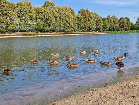 Prognoza pogody dla Otwocka: ciepłe dni, ale deszcz w drodze!