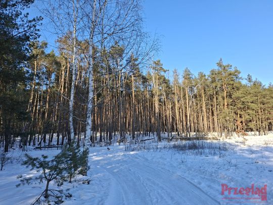 Prognoza pogody dla Otwocka – mroźne dni w lutym