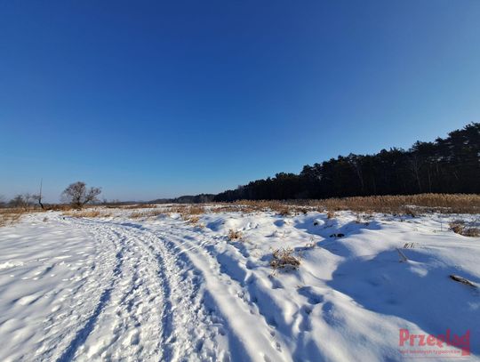 Prognoza pogody dla Otwocka na koniec stycznia
