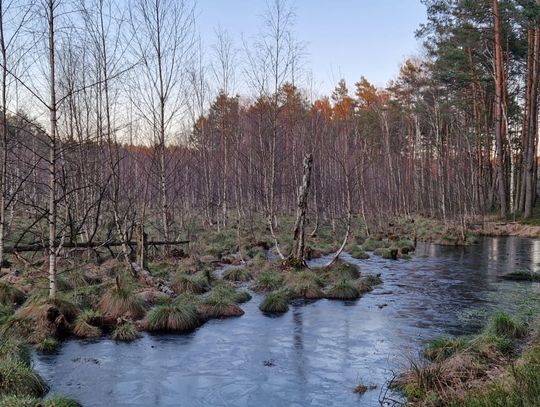 Prognoza pogody dla Otwocka – nadchodzące dni przyniosą chmury i przelotny deszcz