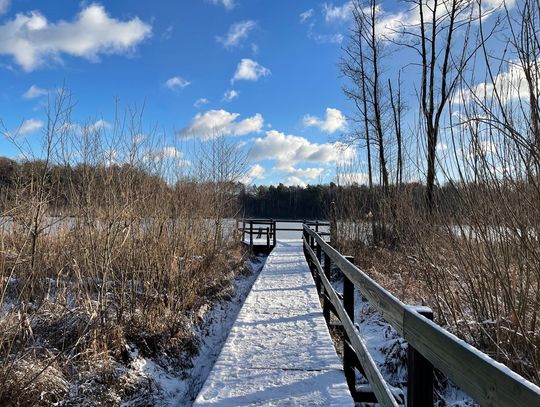 Prognoza pogody dla Otwocka – sprawdź, co przyniosą najbliższe dni