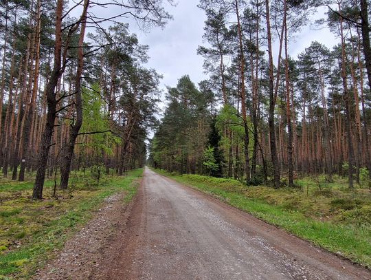 Prognoza pogody w Otwocku - ciepło i częściowe zachmurzenie